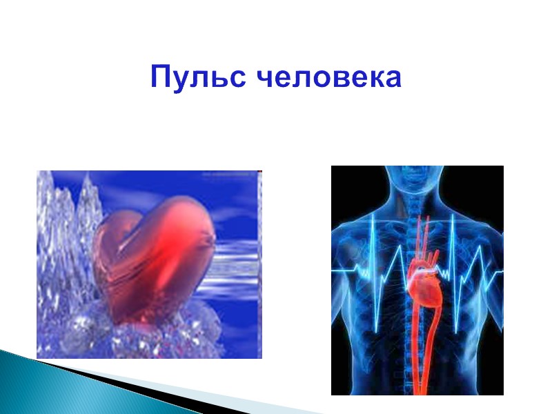 Пульс человека